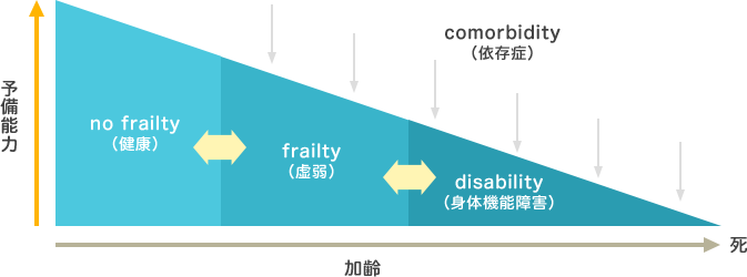 図1.フレイルの位置付けを示す。no frailty（健康）時は予備能力が高く、加齢とともにfrailty（虚弱）⇒disability（身体機能障害）となり、comorbidity（依存症）状態となっていきます。
